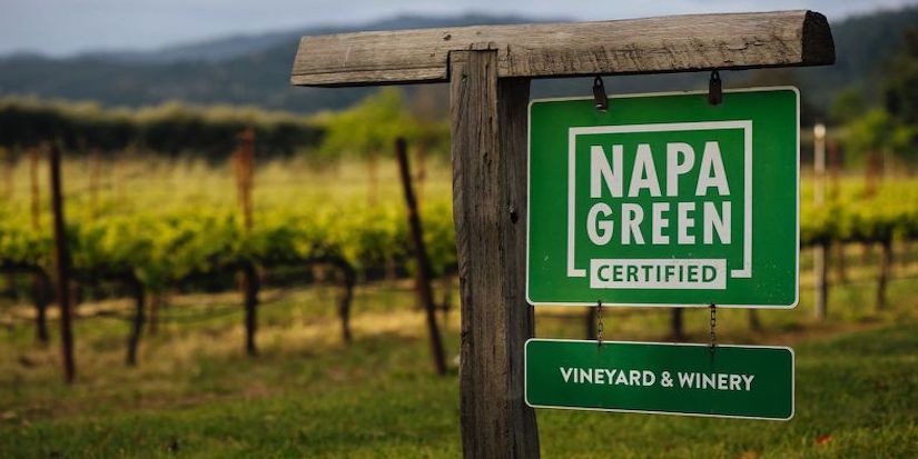 Emma Swain on 'Our City Tonight'